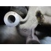 21T105 Engine Oil Pump From 2004 Jeep Liberty  3.7 53020827AC